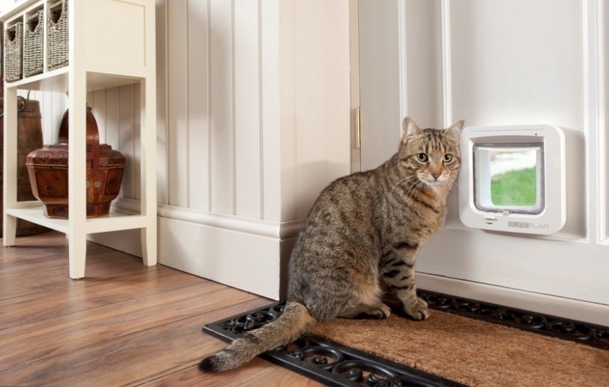 Vetraio a domicilio per foratura vetri a Milano e provincia